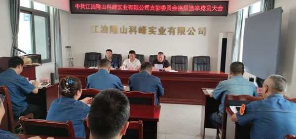 公司黨支部召開黨員大會(huì) 謀劃未來(lái)三年黨建新藍(lán)圖2.jpg